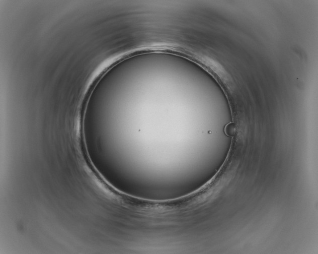 X0000113021420200908271424