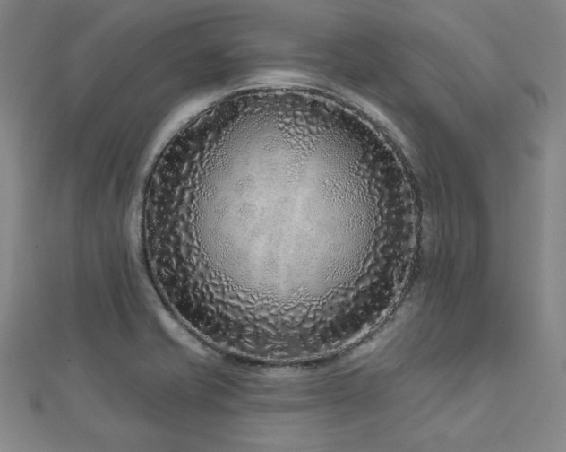 X0000113021421200908271424