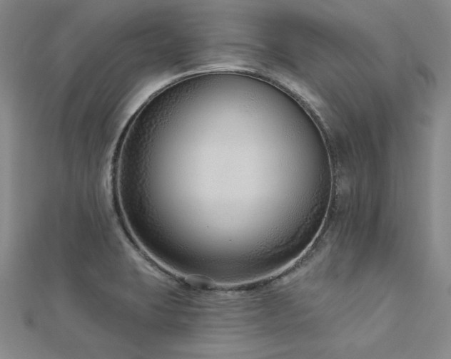 X0000113021423200908271424