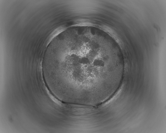 X0000113021425200908271424