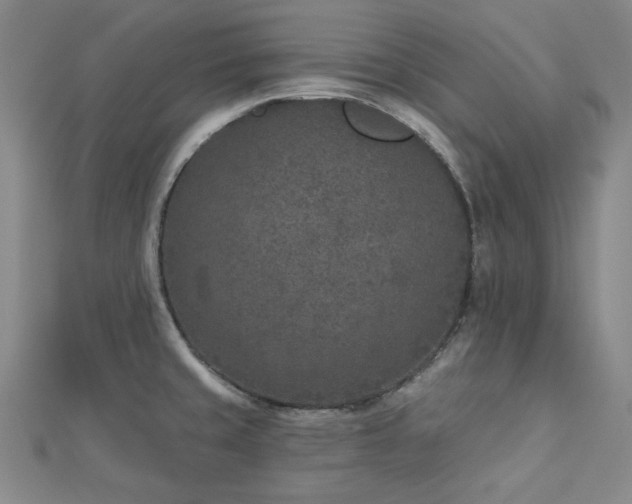 X0000113021429200908271424