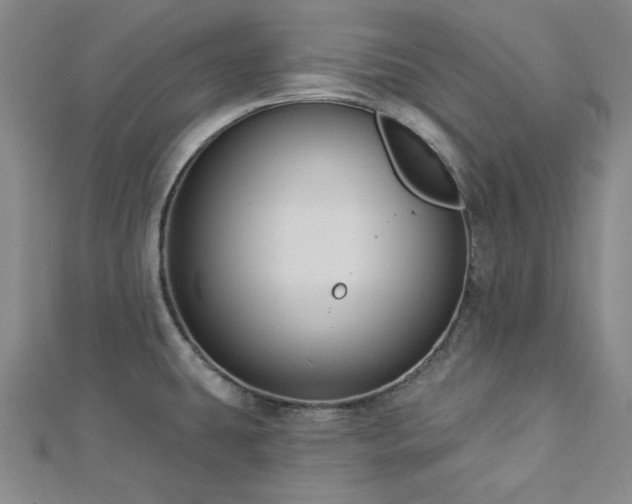 X0000113021431200908271424