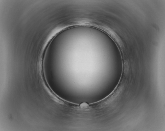 X0000113021432200908271424