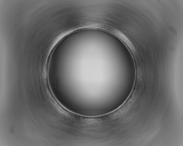X0000113021436200908271424