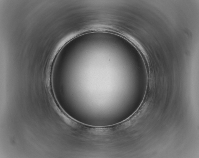 X0000113021437200908271424