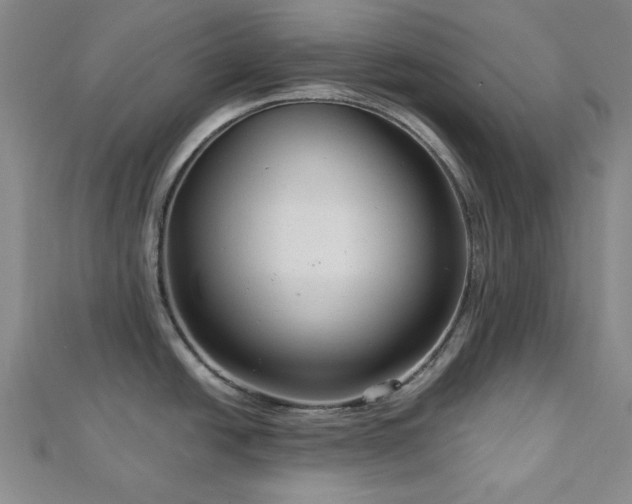 X0000113021438200908271424