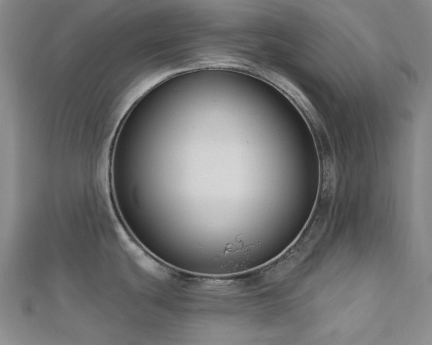 X0000113021439200908271424