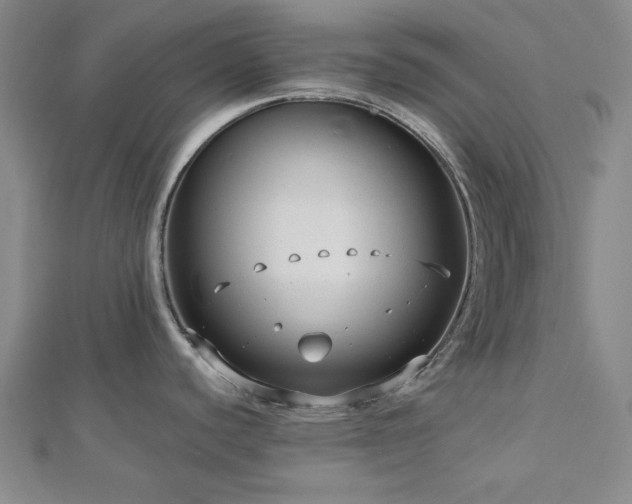 X0000113021440200908271424