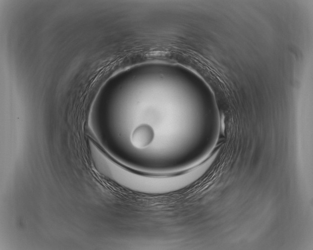 X0000113021441200908271424