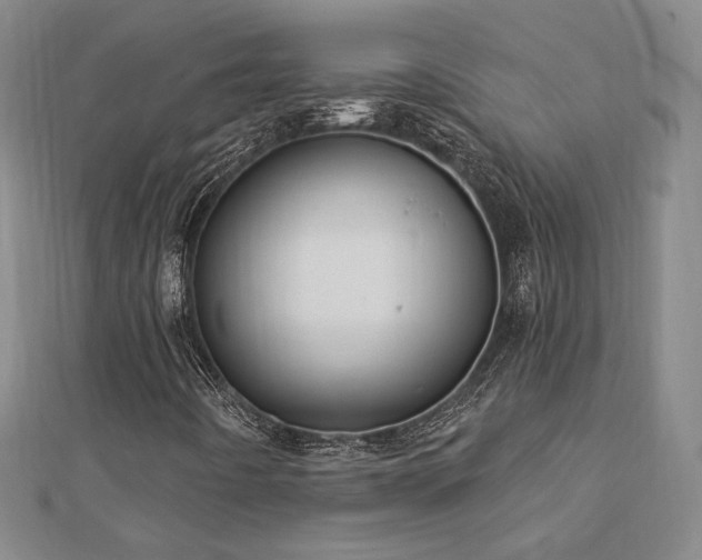 X0000113021442200908271424