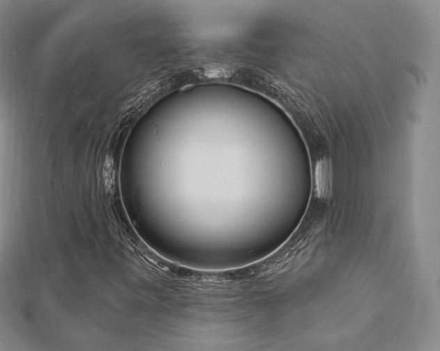X0000113021443200908271424