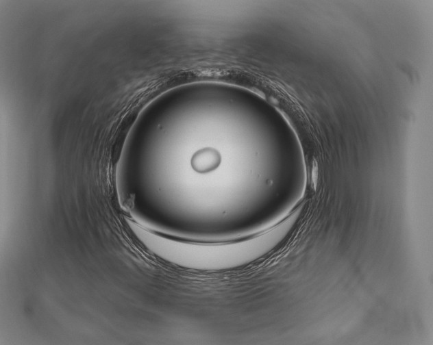 X0000113021444200908271424