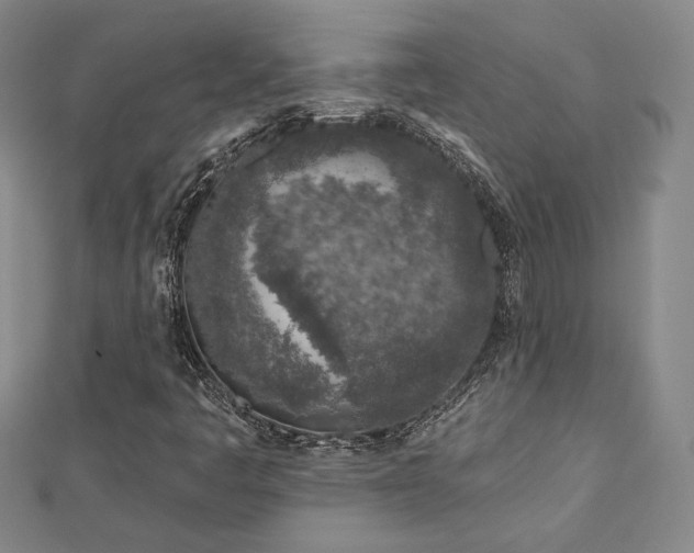 X0000113021445200908271424