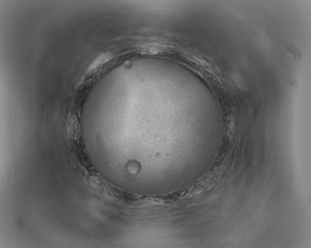 X0000113021446200908271423