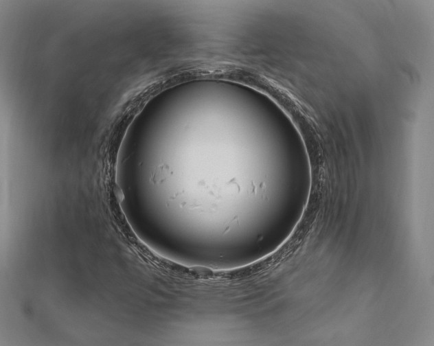 X0000113021447200908271423