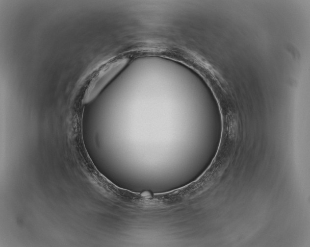 X0000113021448200908271423