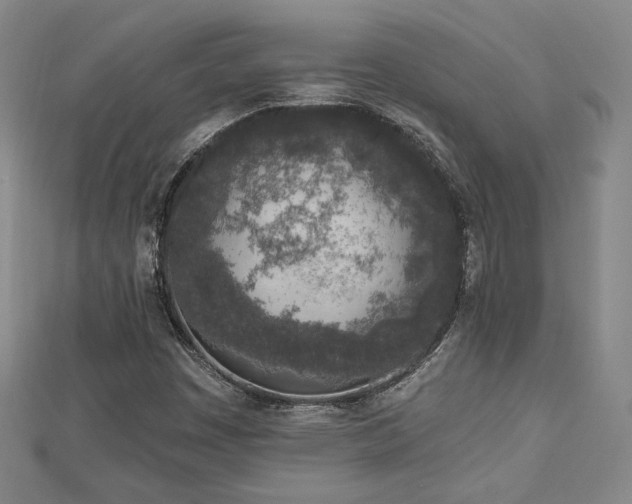 X0000113021449200908271423