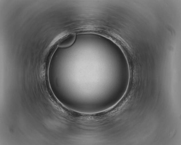 X0000113021450200908271423
