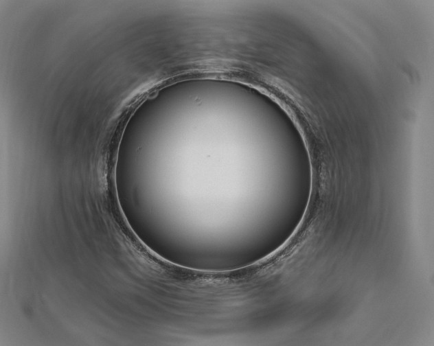 X0000113021451200908271423