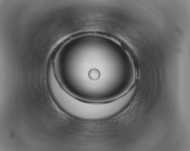 X0000113021452200908271423