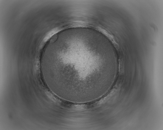 X0000113021453200908271423