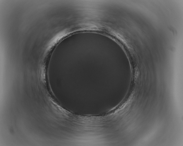 X0000113021455200908271423