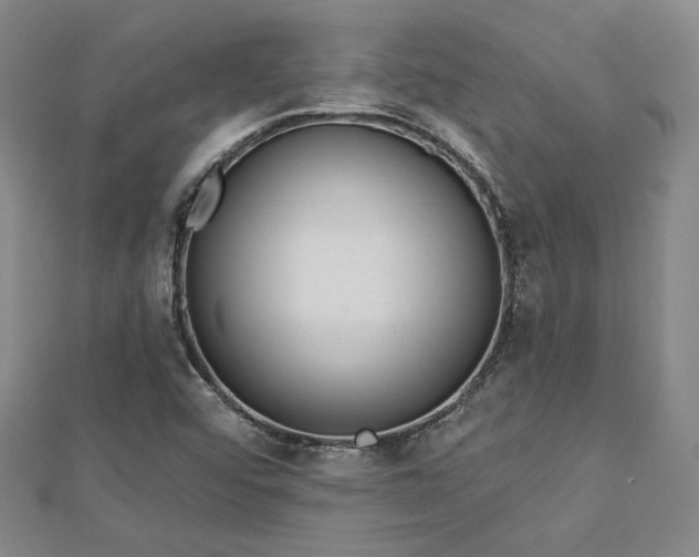 X0000113021456200908271423