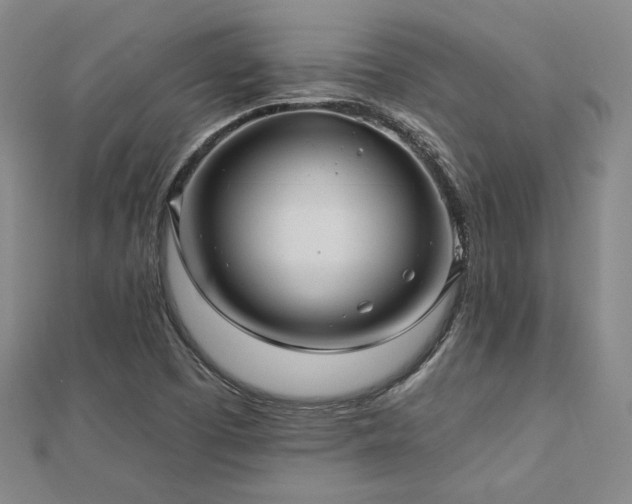 X0000113021457200908271423