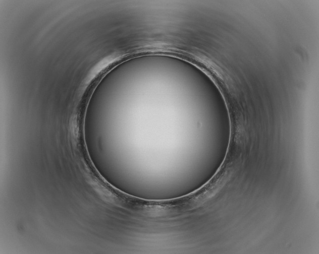 X0000113021458200908271423