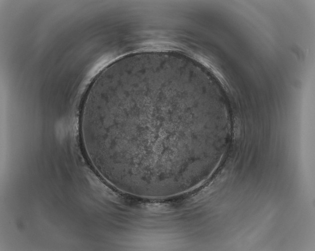 X0000113021459200908271423