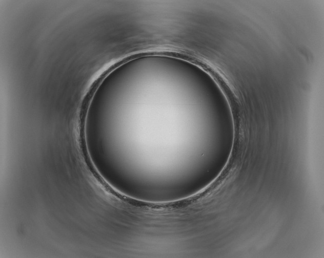 X0000113021460200908271423