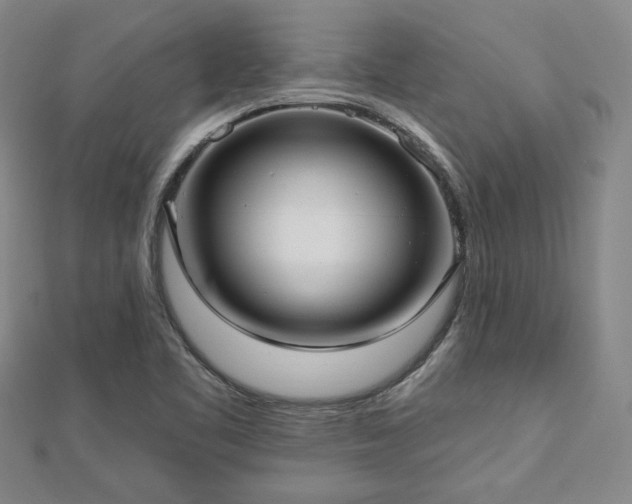 X0000113021461200908271423