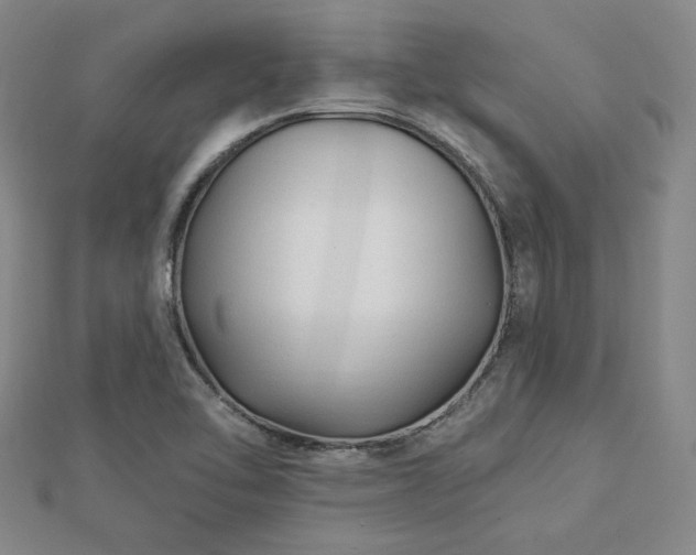 X0000113021462200908271423