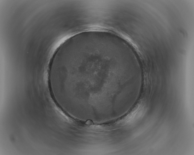 X0000113021463200908271423