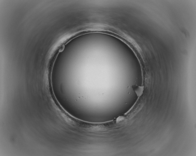 X0000113021464200908271423