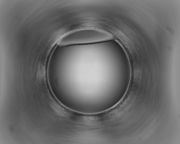 X0000113021465200908271423