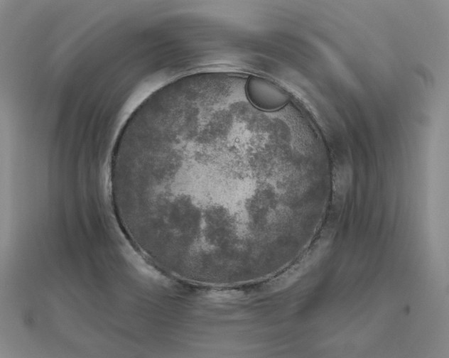 X0000113021466200908271423