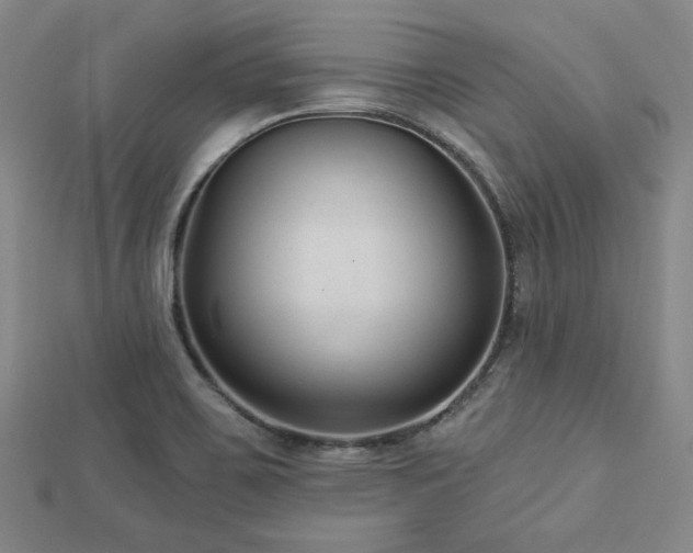 X0000113021467200908271423