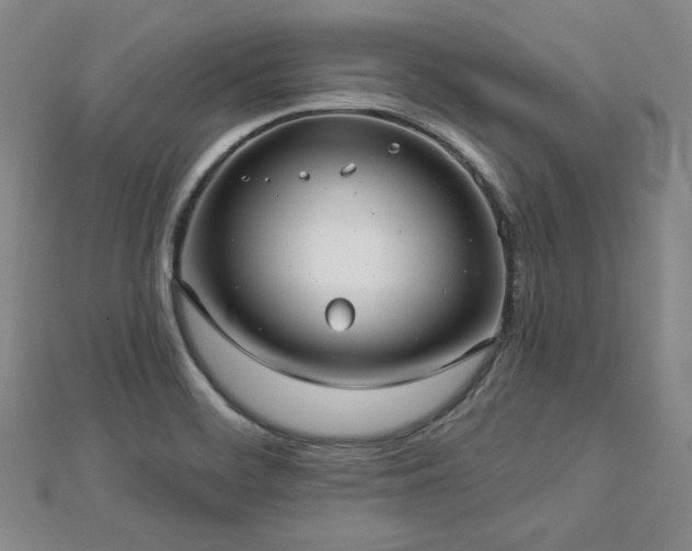X0000113021468200908271423