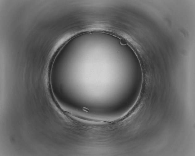 X0000113021469200908271423
