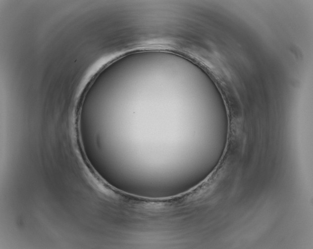 X0000113021470200908271423