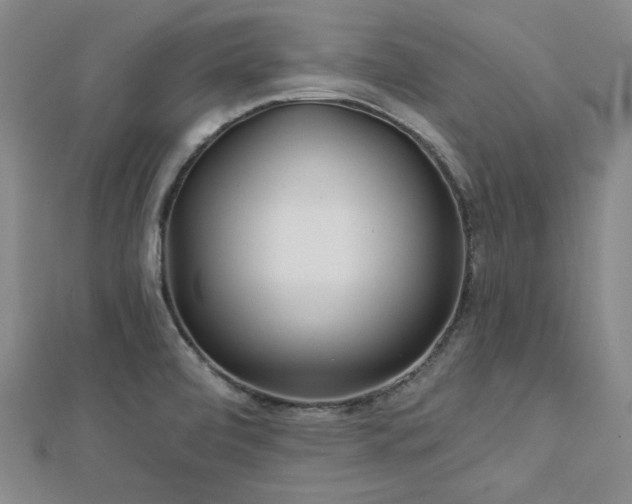 X0000113021472200908271423