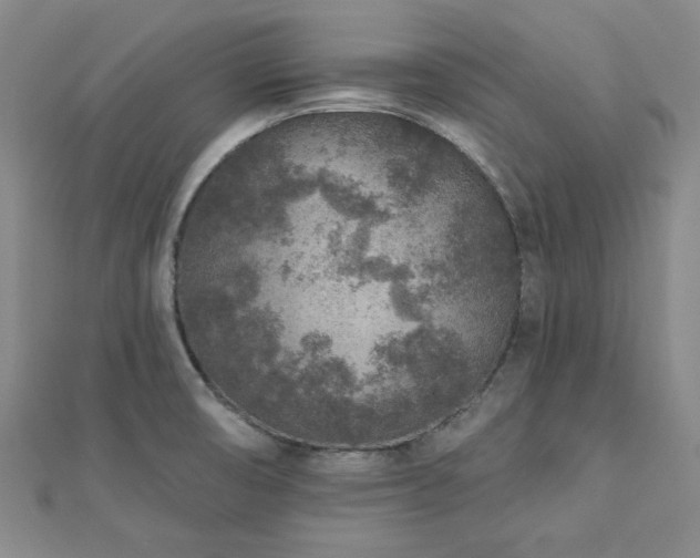 X0000113021474200908271423