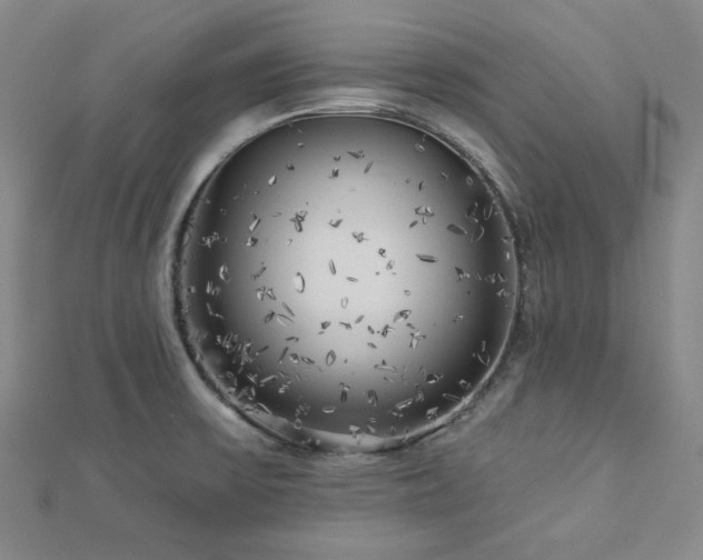 X0000113021475200908271423