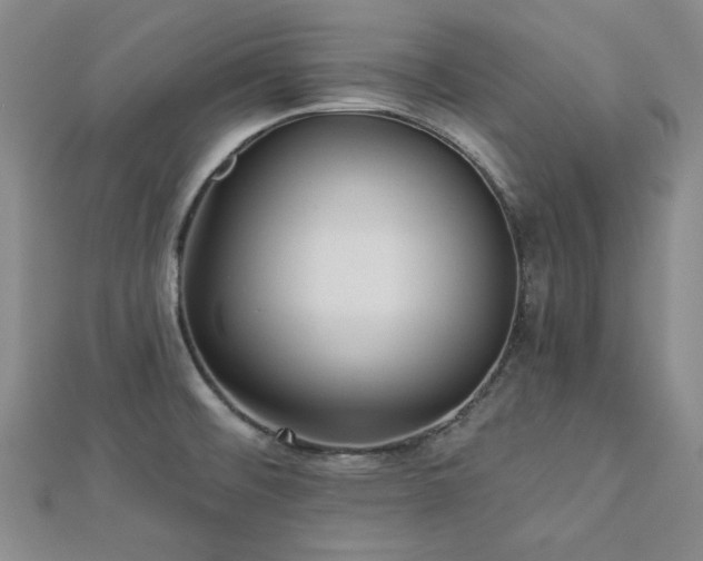 X0000113021476200908271423