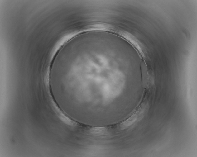 X0000113021477200908271423