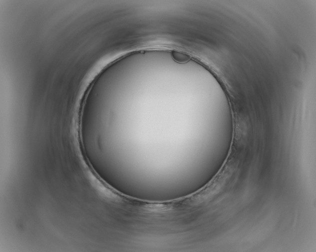 X0000113021478200908271423