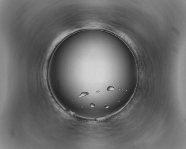 X0000113021480200908271423