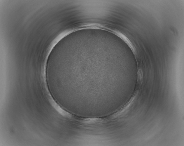 X0000113021482200908271423