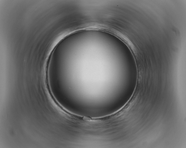 X0000113021483200908271423